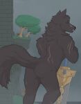  2023 anthro arched_back black_nose black_sclera blaidd_(elden_ring) brick_wall butt canid canine canis elden_ring fangs foggy foggy_background fromsoftware fur grey_body grey_fur hi_res holding_object holding_weapon looking_at_viewer looking_back male mammal melee_weapon muscular muscular_anthro muscular_male nude plant presenting purple_eyes scar scars_all_over smile solo sword taffhazy teeth tree tuft wall_(structure) weapon wolf 