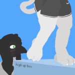  anthro avian beak bird blush bottomwear box clothing container corvid duo feet felid foot_focus hair long_hair male male/male mammal offscreen_character oscine passerine paws raised_paw raymund_(raymundcrow) raymundcrow shaded shorts simple_background simple_shading stare 