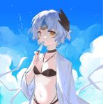  1girl bikini black_bikini black_choker blue_sky breasts choker elsword eve_(elsword) facial_mark food jacket looking_at_viewer nishiirei9522 popsicle short_hair sidelocks sky small_breasts solo swimsuit white_hair white_jacket yellow_eyes 