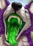 anthro bodily_fluids canid canine canis dripping focus_(disambiguation) fyre_wolffie hi_res male mammal mouth_shot nature open_mouth saliva saliva_drip saliva_on_tongue solo tongue tongue_out vore wolf 