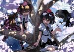  2girls animal bird black_hair black_skirt brown_hair buttons checkered_clothes checkered_skirt cherry_blossoms closed_eyes collared_shirt crow frilled_skirt frills hair_between_eyes hat himekaidou_hatate in_tree long_hair monosenbei multiple_girls open_mouth pointy_ears puffy_short_sleeves puffy_sleeves purple_headwear red_eyes red_headwear shameimaru_aya shirt short_hair short_sleeves sitting sitting_in_tree skirt smile tokin_hat touhou tree white_shirt 