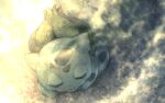  animal_focus bulbasaur claws closed_eyes closed_mouth commentary_request from_above light_particles lunaraven no_humans nostrils on_grass outdoors pokemon pokemon_(creature) sidelighting sleeping solo 