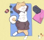  ambiguous_gender anthro beach canid canine canis clothed clothing domestic_dog footwear mammal seaside shiba_inu socks solo spitz 