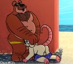  2023 all_fours anthro beach bear belly butt charmcharmcharm detailed_background duo eyewear eyewear_on_head male male/male mammal murid murine oral outside overweight overweight_male rat rodent seaside sunglasses sunglasses_on_head 