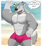  2023 abs anthro barazoku beach biceps biped blurred_background border bulge canid canine canis clothed clothing day dialogue digital_media_(artwork) english_text eyebrows fur grey_body grey_fur hi_res looking_at_viewer male mammal muscular muscular_anthro muscular_male muscular_thighs navel nipples open_mouth open_smile outside pecs quads ruffus_(ruffusbleu) ruffusbleu sand seaside sky smile solo speech_bubble standing swimming_trunks swimwear tail talking_to_viewer teeth text thick_thighs tongue topless water wet white_border wolf 
