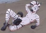  anthro beach equid equine hi_res kona_(konathezebra) luxsimius lying male mammal presenting seaside zebra 