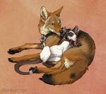  2016 abstract_background ambiguous_gender blue_eyes canid canine canis cheek_tuft chest_tuft claws collar collar_only colored coyote coyoteprince cuddling cuff_(restraint) digital_drawing_(artwork) digital_media_(artwork) digitigrade dipstick_tail domestic_cat duo eye_contact facial_tuft felid feline felis feral full-length_portrait hi_res inner_ear_fluff kojote leg_markings looking_at_another lying mammal markings meezer neck_tuft nude pawpads portrait prick_ears restraints siamese signature socks_(marking) tail tail_cuff tail_markings toe_claws tuft whiskers yellow_eyes 