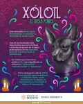  ambiguous_gender candle canid canine canis day_of_the_dead domestic_dog facebook_logo flower hairless hairless_dog hi_res instagram_logo mammal mexico orange_flower plant primitive_dog purple_background simple_background solo spanish_text text twitter twitter_logo unknown_artist xoloitzcuintli youtube_logo 