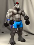  2016 3_toes 3d_(artwork) abs anthro barefoot black_hair blue_bottomwear blue_clothing blue_shorts blue_wristband body_hair bottomwear braford chest_hair chuck_(braford) clothing curtains dated deltoids digital_media_(artwork) dumbbell facial_horn feet grey_body grey_eyes grey_skin hair holding_weights horn looking_at_viewer male mammal musclegut muscular_thighs navel nipples nose_horn obliques ponytail pubes red_hair rhinoceros shorts signature solo toes weights wristband 