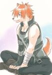  1boy animal_ears bandaged_arm bandages blush brown_eyes dog_boy dog_ears dog_tail fate/extra fate/grand_order fate_(series) fingerless_gloves furry furry_male gloves jewelry looking_to_the_side orange_hair robin_hood_(fate) shinkai_kiiro simple_background tail 