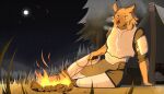  absurd_res accipitrid accipitriform anthro armor avian bird campfire clothing detailed_background eagle female fire hair hi_res hyena male mammal outside securipun shou_(securipun) smile solo 