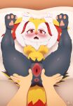  absurd_res anthro braixen canid canine digit_ring duo female fennec first_person_view flustered fox generation_6_pokemon genitals hi_res highoncoffee human jewelry male male/female mammal married_couple nintendo pokemon pokemon_(species) pussy ring spread_legs spread_pussy spreading wedding_ring 