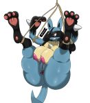 absurd_res angry anthro anus areola bdsm big_breasts black_body black_fur blue_body blue_fur bondage bound breasts clenched_teeth digitigrade dipstick_limbs female fur generation_4_pokemon genitals hi_res huge_breasts lucario nintendo nipples nude pawpads pink_areola pink_nipples pokemon pokemon_(species) pussy red_eyes restraints rope rope_bondage simple_background solo tan_body tan_fur teeth thick_thighs trifuson white_background wide_hips 