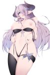  1921494015 absurdres bikini black_bikini blue_eyes braid breasts breasts_out demon_horns granblue_fantasy hair_ornament hair_over_one_eye highres holding holding_clothes holding_panties holding_underwear horns large_breasts light_purple_hair long_hair narmaya_(granblue_fantasy) navel nipples open_mouth panties pointy_ears pussy single_braid single_thighhigh skindentation swimsuit thigh_strap thighhighs underwear undressing white_background 