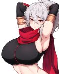  1girl absurdres armpits arms_up breasts bright_pupils commission dungeon_and_fighter grey_hair highres large_breasts looking_at_viewer ninja ninja_(dedett)_(dungeon_and_fighter) original pixiv_commission pointy_ears ponytail red_eyes red_scarf rikuguma scarf simple_background solo white_background white_pupils 