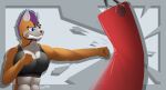  abstract_background ailurid anthro athletic athletic_female bra clothing female hi_res kaspersa mammal punch punching_bag red_panda solo sports_bra underwear 