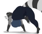  big_breasts big_butt blackbetty bottomwear breasts butt clothed clothing female franciene_(tango&#039;s_family) hair looking_at_viewer looking_back mammal pants procyonid raccoon smile solo thick_thighs tight_clothing topwear yoga_pants 