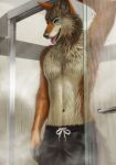  anthro bathing bottomwear canid canine canis clothing djano fox hi_res hybrid male mammal shorts showering solo tongue tongue_out wolf 