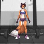  abs anthro bra bronx23 canid canine clothing female fox gym hi_res mammal mouscedess muscular muscular_female rosaline_(bronx23) solo sports_bra underwear weights 