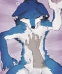  5:6 ambiguous_gender anthro black_nose blue_body blue_fur blush canid canine canis claws disembodied_hand duo eyes_closed featureless_crotch fluffy fur hand_on_chest hi_res kemono_mofumofu lying mammal nude on_back solo_focus white_body white_fur wolf 
