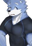  abs absurd_res anthro asleepchef biceps blue_body blue_eyes blue_fur canid clothing fur hair hi_res male mammal multicolored_body muscular muscular_male pecs shirt simple_background solo topwear white_background yakumo_(asleepchef) 