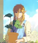  1boy blue_eyes blue_sky closed_mouth eorinamo highres holding holding_plant link male_focus plant pointy_ears potted_plant sky smile solo the_legend_of_zelda 