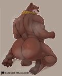  absurd_res anus back_muscles balls bear bodily_fluids bulge butt genitals hi_res looking_at_viewer male mammal musclegut muscular muscular_male papa_bear_(puss_in_boots) paws rear_view shy solo sweat sweaty_butt the_dumbid 