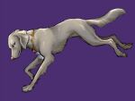  ambiguous_gender ayaka canid canine canis claws domestic_dog feral fur grey_body grey_fur jewelry looking_back mammal necklace paws purple_background quadruped running simple_background solo tail weimaraner 