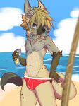  2019 anthro beach bedroom_eyes blonde_hair blue_eyes blue_sky blurred_foreground cheek_tuft clothed clothing cloud day detailed_background dipstick_tail facial_tuft front_view genitals hair hi_res holding_tube hyena inner_ear_fluff looking_at_viewer male mammal markings narrowed_eyes navel neck_tuft outside penis penis_base portrait rareel red_clothing red_speedo red_swimwear ricky945 sea seaside seductive skimpy sky smile solo speedo speedo_only speedo_pull spots spotted_hyena standing sunscreen swimwear tail tail_markings three-quarter_portrait topless tuft water 
