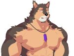  abs anthro brown_body brown_fur bust_portrait canid canine canis crystal domestic_dog eyebrows fur hi_res jewelry lifewonders live_a_hero male mammal muscular muscular_anthro muscular_male necklace nipples pecs portrait pubraseer shirtless solo thick_eyebrows uuuukk0 
