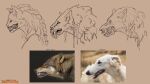  ambiguous_gender anthro borzoi braided_hair canid canine canis dollightful_(copyright) domestic_dog fangs hair hi_res hunting_dog katherine_murray mammal real sharp_teeth sighthound sketch snarling snout solo teeth were werecanid werecanine werewolf wolf 