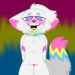  anthro blush bodily_fluids canid canine canis collar cum cum_on_face ears_back female fluffyfoxanimates genital_fluids half-closed_eyes hands_behind_back hi_res mammal narrowed_eyes open_mouth pivoted_ears solo wolf 