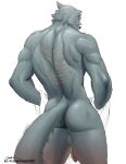  2023 absurd_res anthro back_muscles balls beastars biceps butt canid canine canis digital_media_(artwork) foreskin fur genitals grey_body grey_fur hi_res humanoid_genitalia humanoid_penis hybrid legoshi_(beastars) male mammal missing_ear muscular muscular_anthro muscular_male nude penis rear_view scar scars_all_over signature simple_background sketch solo tail text thendyart towel wolf wounded 