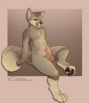 anthro balls brown_body brown_fur canid erection felixdadragon fur genitals hi_res humanoid_genitalia licking licking_lips looking_at_viewer male mammal pawpads paws penis sitting solo tongue tongue_out 