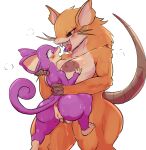  anthro anus areola big_breasts blush bodily_fluids breasts butt censored cottontail duo female fur generation_1_pokemon genital_fluids genitals hi_res mammal nintendo nipples nude pokemon pokemon_(species) pussy raticate rattata rodent simple_background teeth tongue white_background 