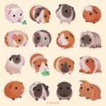  animal animal_focus artist_name black_eyes commentary english_commentary guinea_pig no_humans original pikaole simple_background solid_circle_eyes watermark 