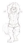  abs anthro barrel_(live_a_hero) canid canine canis clothing heylaw21 lifewonders live_a_hero male mammal muscular muscular_anthro muscular_male nipples pecs raised_arms simple_background sketch smile solo stretching underwear white_background wolf 