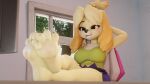  4_toes animal_crossing anthro blender_(software) blush canid canine canis clothed clothing domestic_dog feet female foot_fetish foot_focus fur genitals hair hi_res isabelle_(animal_crossing) mammal nintendo open_mouth paws shih_tzu smile solo solo_focus toes toy_dog twintails3d yellow_body yellow_fur 