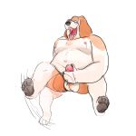  1:1 2023 absurd_res anthro balls basset_hound belly big_belly bodily_fluids canid canine canis cituru cum cumshot digital_media_(artwork) domestic_dog ejaculation fur genital_fluids genitals hi_res hunting_dog kick leg_twitch looking_pleasured male mammal masturbation moobs motion_lines multicolored_body multicolored_fur nude open_mouth open_smile orgasm_face overweight overweight_male penile penile_masturbation raised_leg scent_hound simple_background smile solo spread_legs spreading tongue tongue_out two_tone_body two_tone_fur white_background 