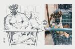  anthro biped canid canine canis canyne_khai collar domestic_dog eyebrows floppy_ears fur hi_res leash leashed_collar male mammal muscular muscular_anthro muscular_male pawpads real reference_image shopping_cart solo tail tail_motion tailwag 