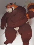  2023 absurd_res ailurid anthro belly big_belly black_nose blush brown_body bulge hi_res kemono kipchin_2nd00 lying male mammal moobs nipples orange_body overweight overweight_male red_panda solo 