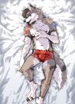  2023 anthro athletic athletic_anthro athletic_male bed bedroom_eyes bulge canid canine canis cheek_tuft clothed clothing digital_media_(artwork) facial_tuft fluffy fluffy_tail fur furniture hair hi_res kogi licking looking_at_viewer lying male mammal markings narrowed_eyes on_back on_bed pinup pose seductive self_lick smile solo suggestive tail teeth tongue tongue_out topless tuft underwear underwear_only white_body white_fur wolf 