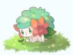  alternate_color animal_focus blue_background blush commentary flower full_body grass green_eyes light_blush looking_at_viewer no_humans on_ground open_mouth outdoors pokemon pokemon_(creature) red_flower shaymin shaymin_(land) shiny_pokemon simple_background sitting solo towa_(clonea) yellow_flower 