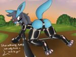 all_fours anthro ass_up bdsm blue_body blue_fur blue_tail blush bodily_fluids bondage bone_gag bound bulge clothing collar dialogue exhibitionism fur gag gagged generation_4_pokemon gloves grass grey_body grey_fur handwear hi_res latex latex_armwear latex_gloves latex_legwear leash lucario male nintendo offscreen_character outside park paw_gloves paws petplay pink_collar plant pokemon pokemon_(species) puppyplay raised_tail red_eyes restraints roleplay rubber rubber_clothing rubber_suit solo spikes spikes_(anatomy) spreader_bar submissive submissive_male sunset sweat sweatdrop tail walkies wetchannel whining 