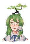  1girl absurdres blush bonsai boy&#039;s_club collared_shirt commentary frog_hair_ornament green_eyes green_hair hair_ornament highres kochiya_sanae long_hair medium_bangs open_mouth pepe_the_frog plant_on_head shirt sidelocks simple_background single_hair_tube sinonon218 snake_hair_ornament sweatdrop touhou tree upper_body white_background white_shirt 