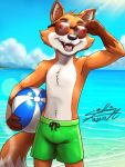  anthro ball beach bottomwear canid canine clothing eyewear fox glasses hi_res male mammal sagadreams sea seaside shorts solo swimming swimming_trunks swimwear water 