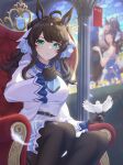  1girl animal_ears belt bird black_hair blue_eyes blurry blurry_background breasts clenched_hand commentary_request daring_tact_(racehorse) daring_tact_(umamusume) highres horse_ears horse_girl jacket kashmir_0808 looking_at_viewer medium_breasts petals sitting solo throne umamusume window 