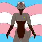  absurd_res andromorph anthro canid canine caxy_creations fox genitals hi_res intersex lgbt_pride mammal nude pride_color_background pride_colors pussy scar simple_background smile solo surgical_scar tattoo trace_parker trans_(lore) 