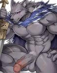  abs anthro balls barazoku blaidd_(elden_ring) bodily_fluids canid canine canis chung0_0 cloak_only elden_ring erection fangs fromsoftware fur genitals greatsword grey_body grey_fur hi_res humanoid_genitalia humanoid_penis male mammal mostly_nude muscular muscular_anthro muscular_male penis pubes purple_eyes scar solo sweat sweatdrop teeth wolf 