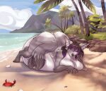  anthro arthropod beach belly big_belly canid canine canis cmitchell crab crustacean decapoda digestion female hi_res malacostracan mammal marine palm_tree piercing plant sea seaside solo tree vore water wolf 